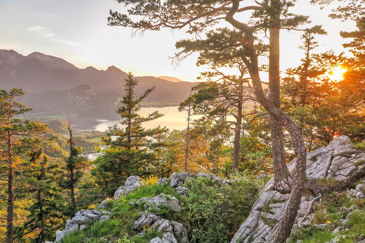 안산 이혼 무료상담(변호사 추천)
