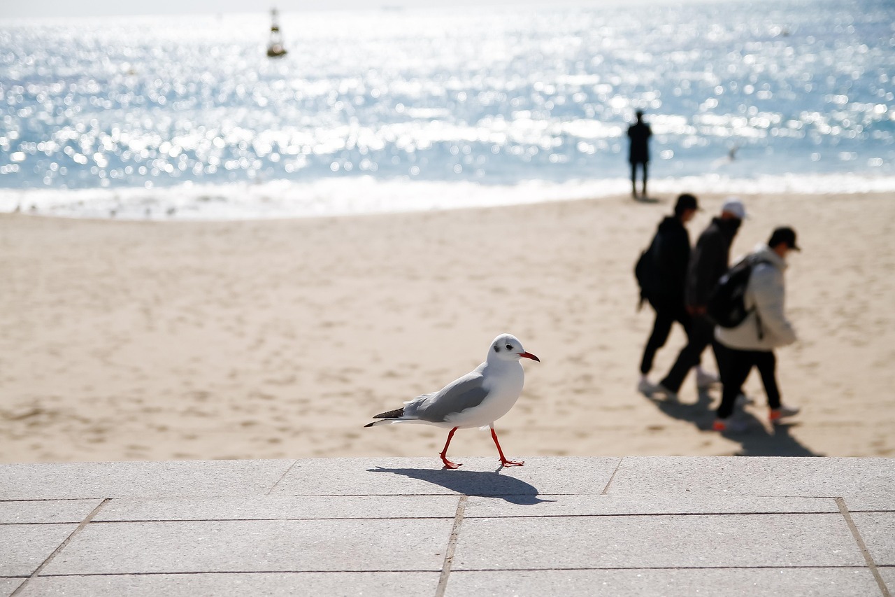 부산 사상구 이혼전문변호사